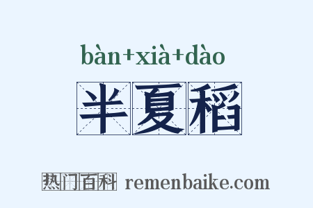 半夏稻是什么意思的图片